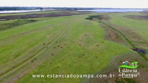 INICIO GADO TOP.00_02_57_12.Quadro041_45bcb2ca2cedddecc289f54f294ca10fb047b879.jpg